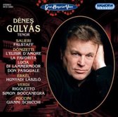 Gulyas, Denes Tenor