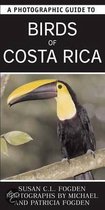 A Photographic Guide to Birds of Costa Rica