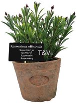 Esschert Design - Kunstplant Rosemarijn in pot AH012