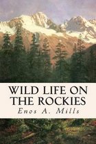 Wild Life on the Rockies