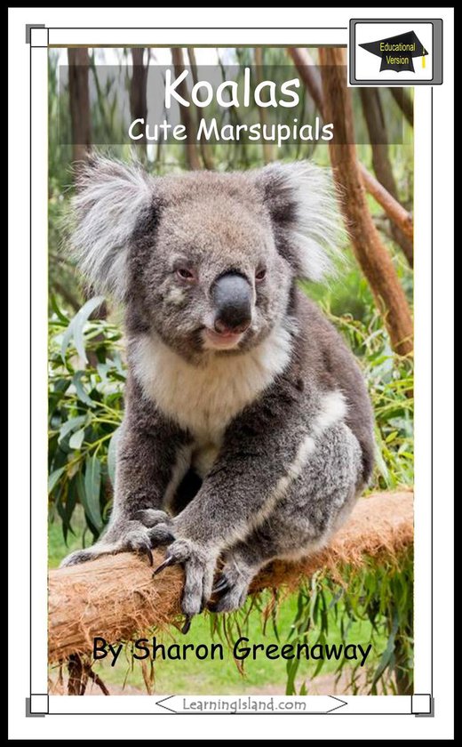 15-Minute Books 674 - Koalas: Cute Marsupials: Educational V ... - cover
