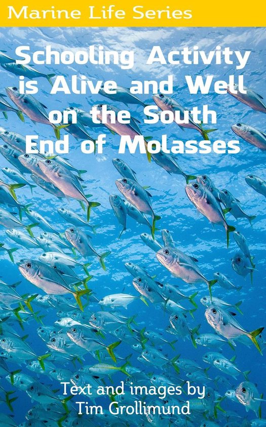 Marine Life 9 - Schooling Activity is Alive and Well on the  ... - cover