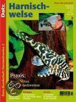 Datz-Sonderheft Harnischwelse 2