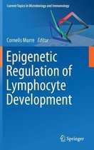 Epigenetic Regulation of Lymphocyte Development