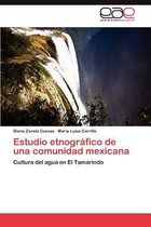 Estudio etnográfico de una comunidad mexicana