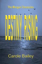 Destiny Rising