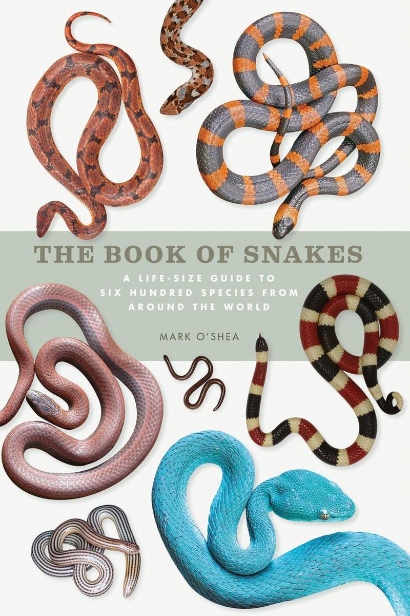 Omslag van The Book of... - The Book of Snakes