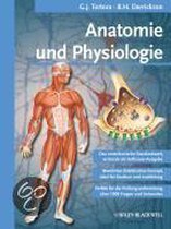 Anatomie Und Physiologie