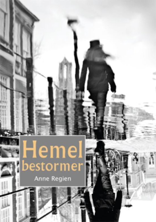 Cover van het boek 'Hemelbestormer' van Anne Regien