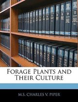 Forage Plants and Their Culture