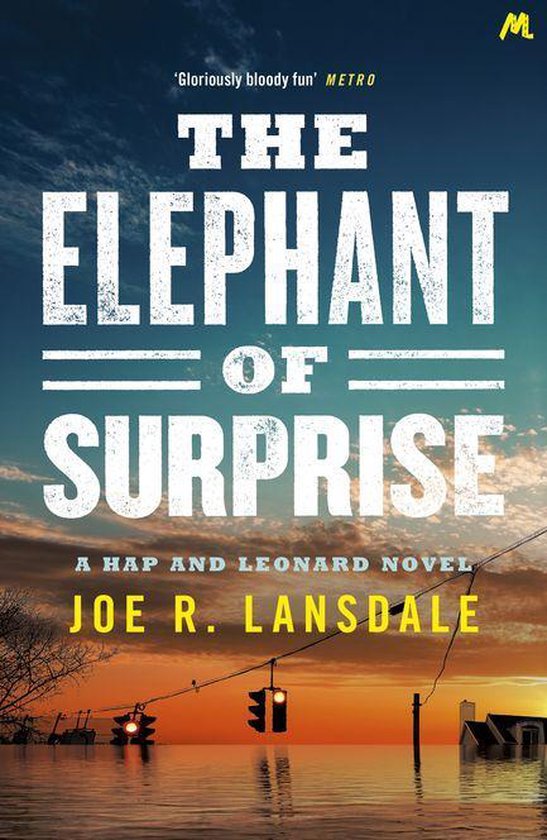 The Elephant of Surprise - cover