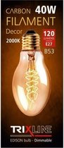 Trixline E27 Kooldraadlamp gloeilamp goudkleurig Decor B53-S32 40 watt 240 Volt