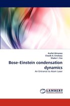 Bose-Einstein condensation dynamics