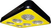 Spectrabox Pro 6 540W (LED Kweeklamp)