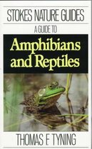 A Guide to Amphibians and Reptiles