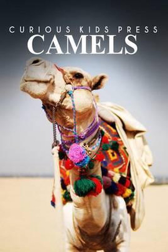 Camels - Curious Kids Press - cover