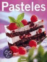 Pasteles / Cakes