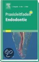 Praxisleitfaden Endodontie