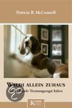 Waldi allein zuhaus