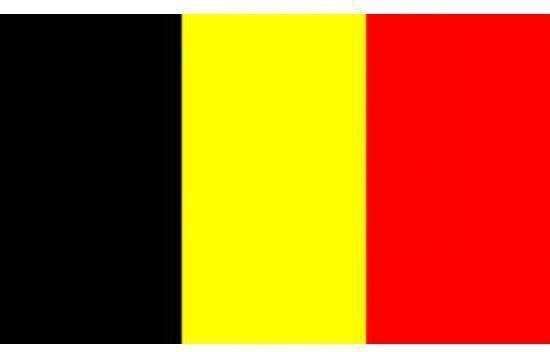 Kleine Belgische vlag 60 x 90 cm | bol.com