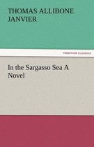 In the Sargasso Sea a Novel