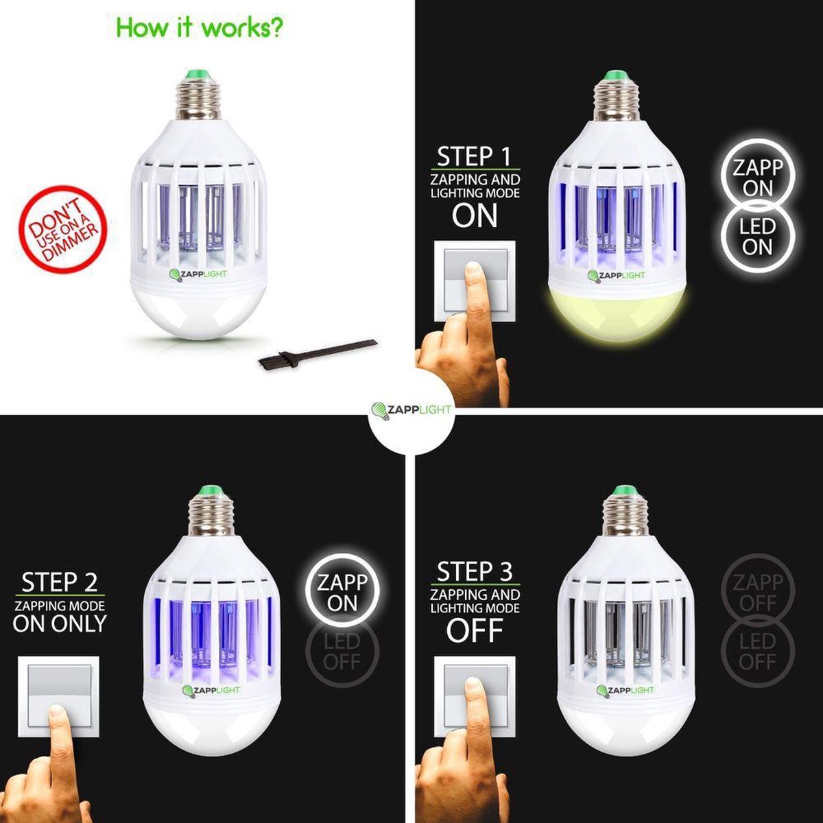 Zapp light 2024