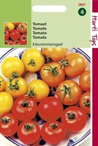 Hortitops Zaden - Tomaten Drie Kleuren Mengsel