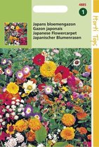 Hortitops Zaden - Japans Bloemengazon