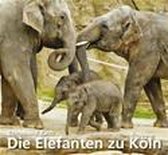 Omslag Die Elefanten zu Köln