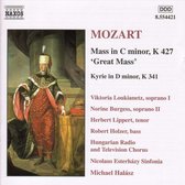 Nicolaus Esterhazy Sinfonia - Mass In C Minor / Great Mass (CD)