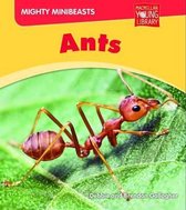 Mighy Minibeasts Ants