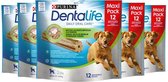 Dentalife Daily Oral Care Maxi Pack - Dentalife - L - 60 pièces