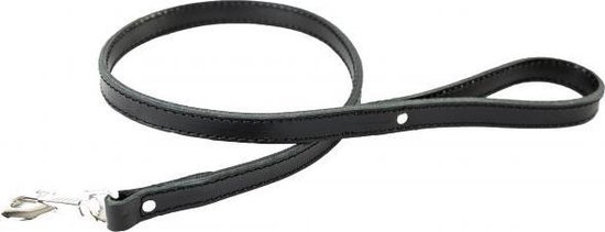 HOWGO Hondenriem, hondenriem, trainingsriem, cinch riem, antislip riem en kraag, zwaar en duurzaam, gewatteerd handvat, voor alle rassen (groen, 9,6 ft