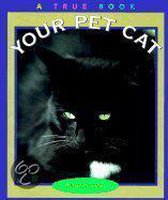 Your Pet Cat