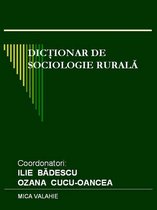 Istorie - Dicționar de sociologie rurală