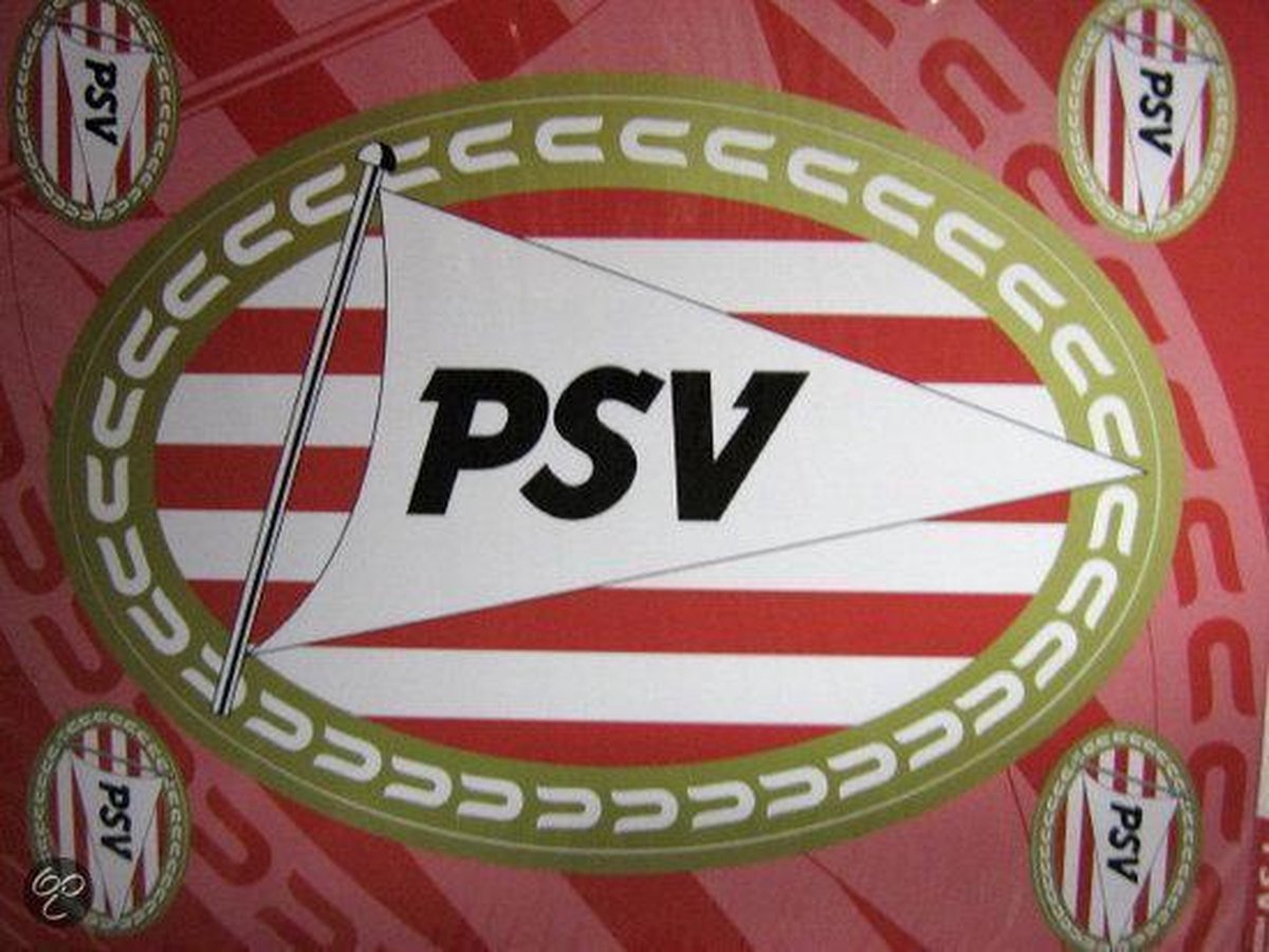 PSV STICKERVEL PSV LOGO | bol.com