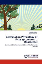 Germination Physiology of Ficus Sycomorus L. (Moraceae)