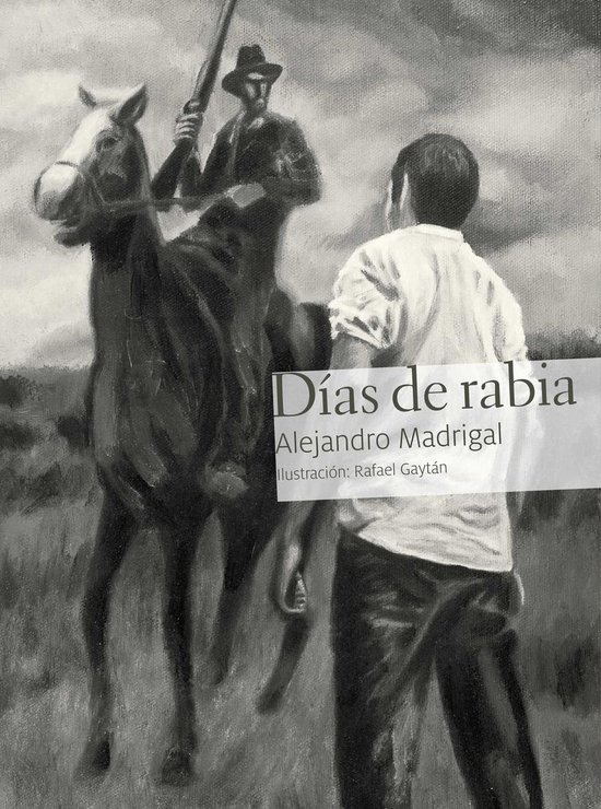 Días de rabia - cover