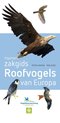 foto van Haymans zakgids Roofvogels van Europa