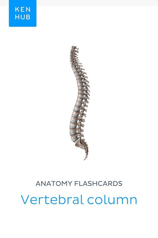 Anatomy flashcards Vertebral column (ebook), Kenhub 9783962980207