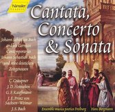 Cantata, Concerto & Sonata