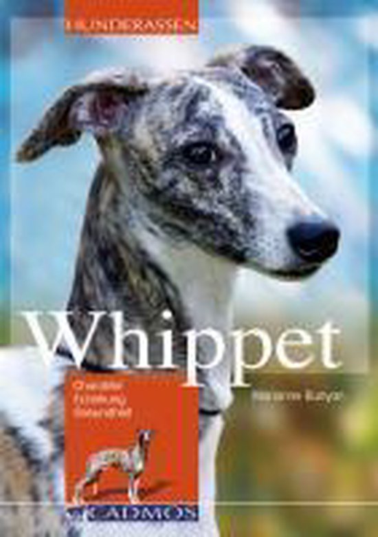 Whippet - cover