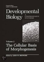 The Cellular Basis of Morphogenesis