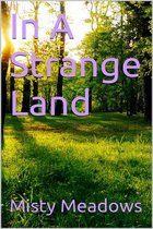 In A Strange Land (Public Sex, Multiple Men)