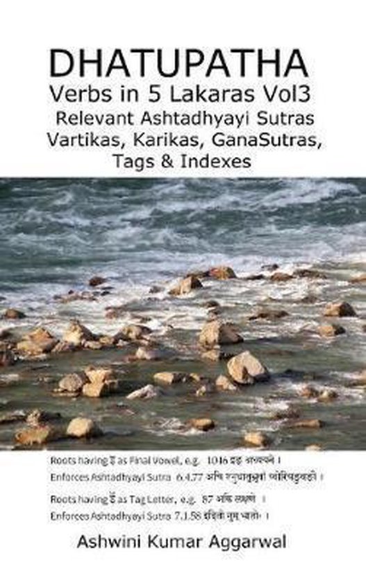 Dhatupatha Verbs in 5 Lakaras Vol3 - cover