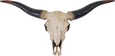 schapenhoorn hoofdtrofee 45cm Deco schedel