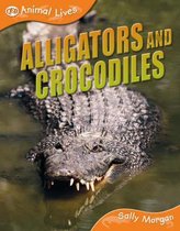 Crocodiles and Alligators