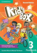 Kid'S Box Level 3 Flashcards