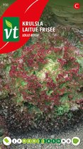 Sla 'Krulsla Lollo Rossa' Zaden - Decoratieve en Roodgetinte Slakrop
