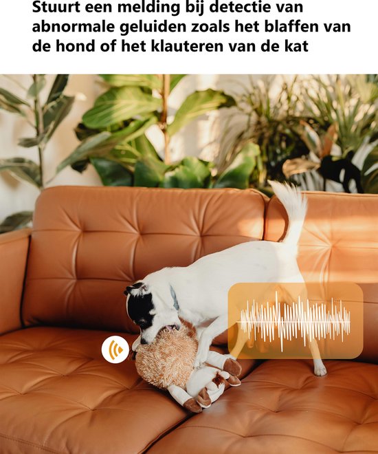 Imou Ranger Dual 6MP - Beveiligingscamera - Wit - Beveiligingscamera Binnen - Camera Met Dubbele Lens 2x 3MP - Slim Kleurennachtzicht - 360° Dekking Door Verstelbare Dubbele Lens - Persoons- En Huisdierendetectie - Abnormale Geluidsdetectie van Imou — afbeelding 4